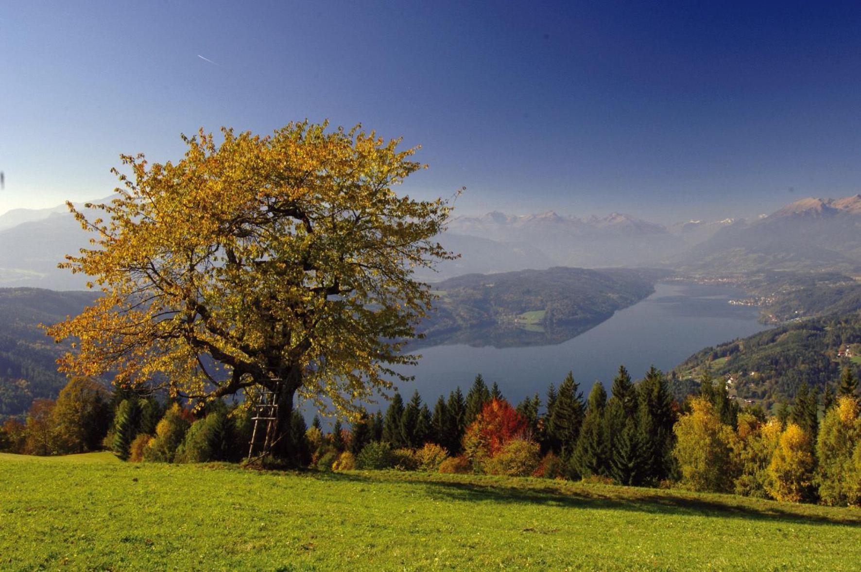 Gasthof Pension Perauer Lieserhofen Exteriér fotografie